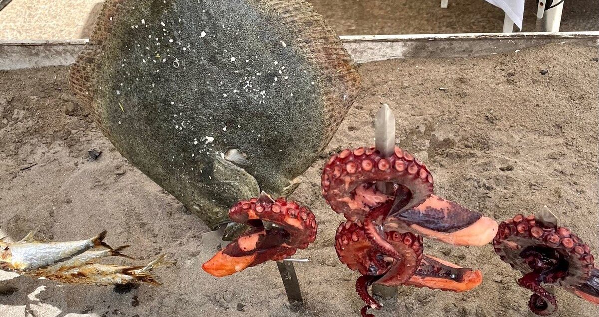 restauranteclubnauticotorrehoradada_pulpo2